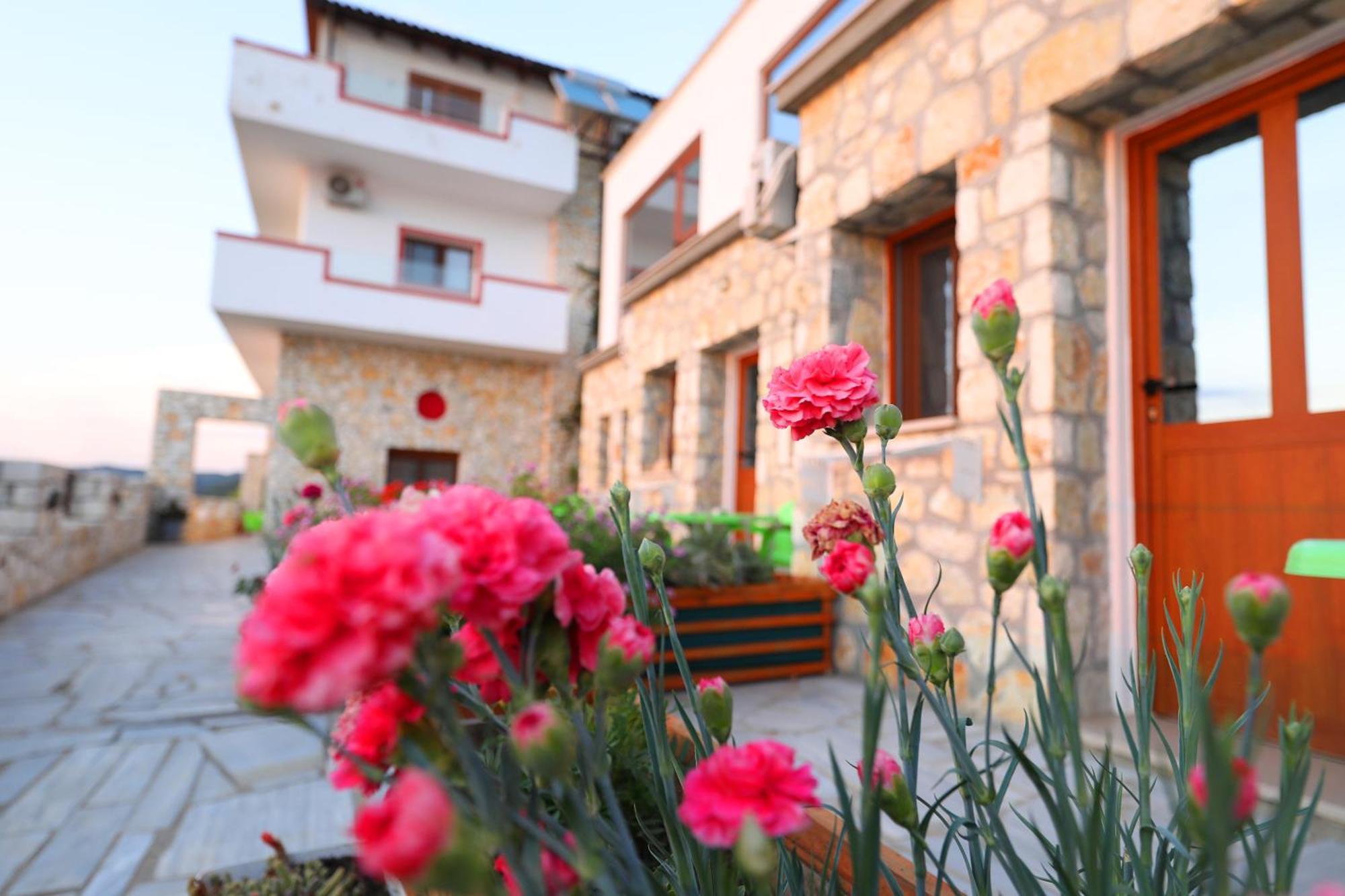 Vila Dena Vlorë Exterior foto